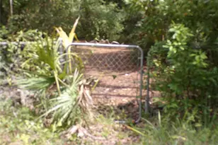 30 NE 478th Ave, Old Town, FL 32680 - Photo 26