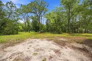 4734 S Slash Pine Ave, Homosassa, FL 34446 - Photo 4