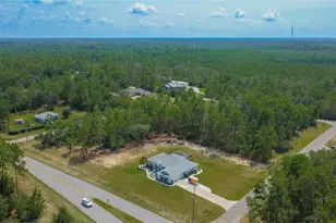 4136 W Findlay St, Citrus Springs, FL 34433 - Photo 50