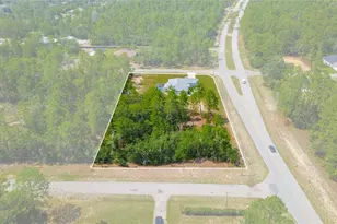 4136 W Findlay St, Citrus Springs, FL 34433 - Photo 52
