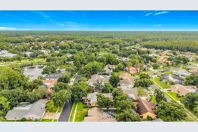 3097 Edgemoor Drive, Palm Harbor, FL 34685 - Photo 58