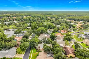 3097 Edgemoor Dr, Palm Harbor, FL 34685 - Photo 58
