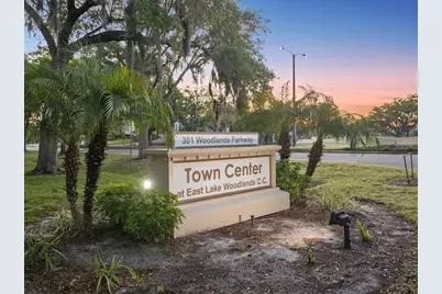 121 Lindsay Lane #31, Oldsmar, FL 34677 - Photo 60