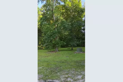 3415 Cr 679, Webster, FL 33597 - Photo 6