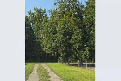 3415 Cr 679, Webster, FL 33597 - Photo 2