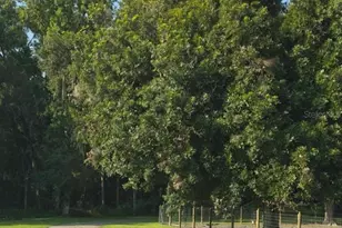 3415 Cr 679, Webster, FL 33597 - Photo 2