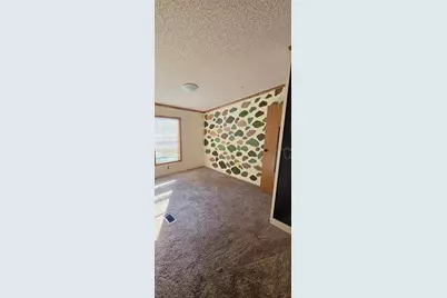 3415 Cr 679, Webster, FL 33597 - Photo 16