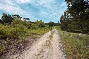 16036 Bosley Dr, Spring Hill, FL 34610 - Photo 4