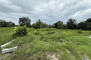 16036 Bosley Dr, Spring Hill, FL 34610 - Photo 22