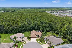 12146 Walstone Ct, Trinity, FL 34655 - Photo 32