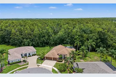 12146 Walstone Court, Trinity, FL 34655 - Photo 32