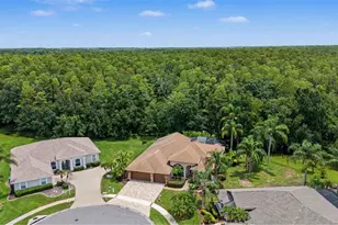 12146 Walstone Ct, Trinity, FL 34655 - Photo 32