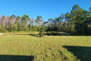 10083 Gentle Rain Dr, Land O Lakes, FL 34638 - Photo 22