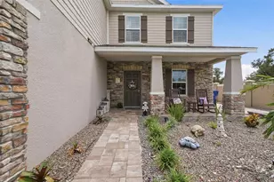 8415 Olive Brook Dr, Wesley Chapel, FL 33545 - Photo 4