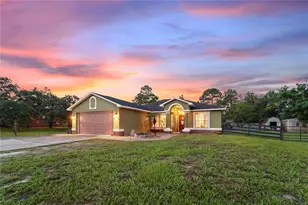 13466 Neville Dr, Spring Hill, FL 34609 - Photo 1
