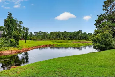 10017 Scarlett Court, Weeki Wachee, FL 34613 - Photo 8