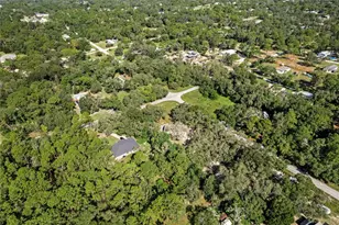 17912 Greensboro St, Spring Hill, FL 34610 - Photo 44