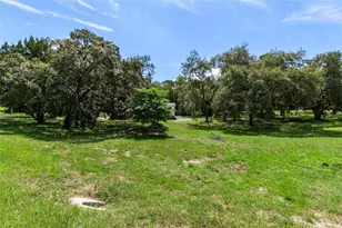 17912 Greensboro St, Spring Hill, FL 34610 - Photo 36