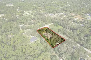 17912 Greensboro St, Spring Hill, FL 34610 - Photo 40