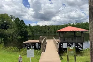 8429 Auburn Rise Ct, Land O Lakes, FL 34638 - Photo 42