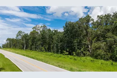 10.30 Acres Wiscon Road, Brooksville, FL 34601 - Photo 8