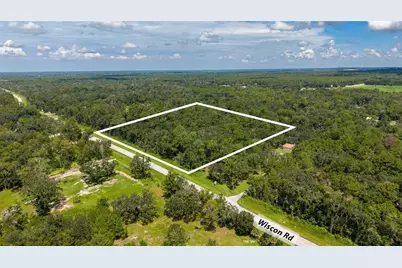 10.30 Acres Wiscon Road, Brooksville, FL 34601 - Photo 4