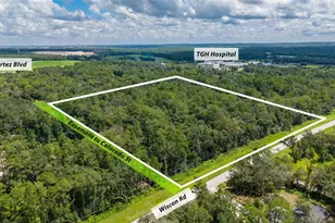 10 30 Acres Wiscon Rd, Brooksville, FL 34601 - Photo 1