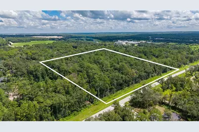 10.30 Acres Wiscon Road, Brooksville, FL 34601 - Photo 6