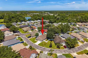 11627 Leda Ln, New Port Richey, FL 34654 - Photo 30