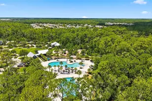 4093 Epic Cove, Land O Lakes, FL 34638 - Photo 58