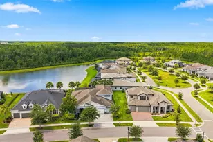 4093 Epic Cove, Land O Lakes, FL 34638 - Photo 46