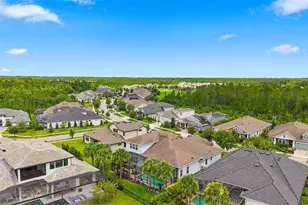 4093 Epic Cove, Land O Lakes, FL 34638 - Photo 52
