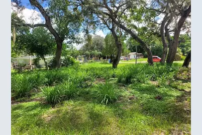 1922 Virginia Avenue, Tarpon Springs, FL 34689 - Photo 2