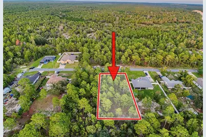 18367 Maberly Road, Weeki Wachee, FL 34614 - Photo 10
