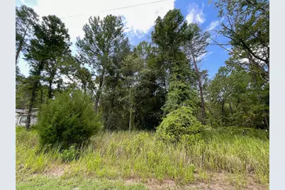 0 Thrasher Avenue, Weeki Wachee, FL 34614 - Photo 6