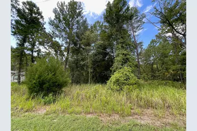 0 Thrasher Avenue, Weeki Wachee, FL 34614 - Photo 4