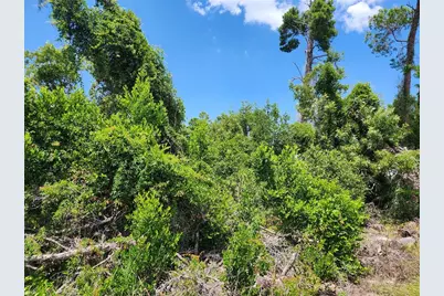 6241 Mariner Boulevard #Lot 31, Spring Hill, FL 34609 - Photo 2
