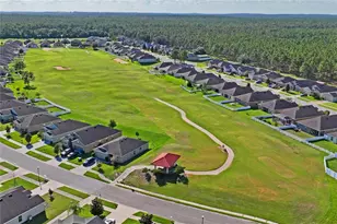 30896 Satinleaf Run, Brooksville, FL 34602 - Photo 58