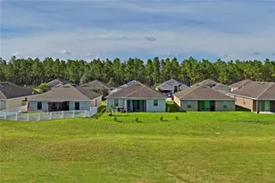 30896 Satinleaf Run, Brooksville, FL 34602 - Photo 44