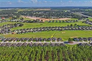 30896 Satinleaf Run, Brooksville, FL 34602 - Photo 50