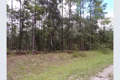 601 E Marquette Lane, Citrus Springs, FL 34434 - Photo 2
