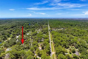 11 Patricia Rd, Yankeetown, FL 34498 - Photo 86