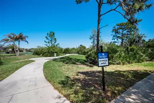 11923 Cinnamon Fern Dr, Riverview, FL 33579 - Photo 82