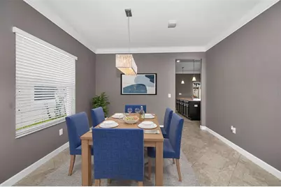 11923 Cinnamon Fern Drive, Riverview, FL 33579 - Photo 12