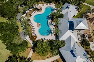 11923 Cinnamon Fern Dr, Riverview, FL 33579 - Photo 6