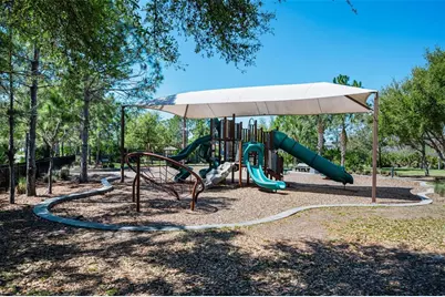 11923 Cinnamon Fern Drive, Riverview, FL 33579 - Photo 72