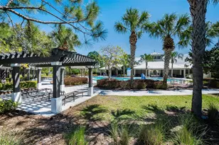 11923 Cinnamon Fern Dr, Riverview, FL 33579 - Photo 66