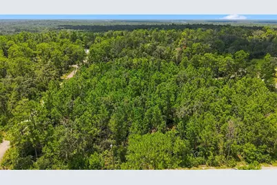 0 Lanier (Lot 2) Avenue, Brooksville, FL 34604 - Photo 10