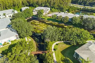 1920 Hammocks Ave, Lutz, FL 33549 - Photo 28