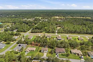 12145 Peregrine Falcon Ave, Weeki Wachee, FL 34614 - Photo 48